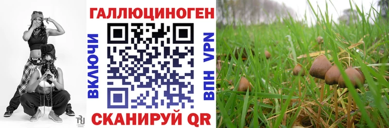 цены   Емва  Псилоцибиновые грибы прущие грибы 